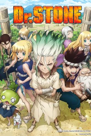 Dr Stone